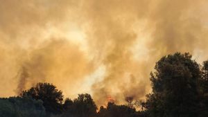 El incendio en la Bisbal d'Empordà a confinar una decena de municipios y una casa de colonias con 150 niños