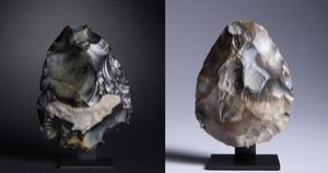 500,000-year-old tools found on north Norfolk beach barred from leaving UK