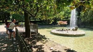 El estanque de los patos de Oviedo recupera su esplendor: 