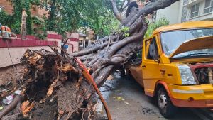 Mumbai Monsoon Deaths Are Man-Made Disasters