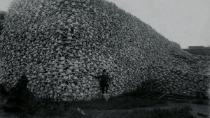 Die Jagd
