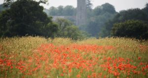 Half of £60m nature-friendly farming fund is allocated within first three days