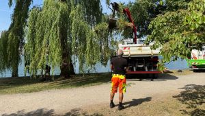 Nach Schreckmoment im Herosé-Park: So erklärt die Stadt Konstanz den Astbruch am Seerhein