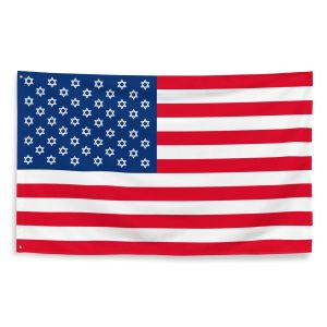 Counting and Caring: Pinchas and America’s 250th
