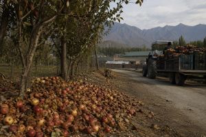 Kashmir Is Sitting on an Economic Fortune It Refuses to Process