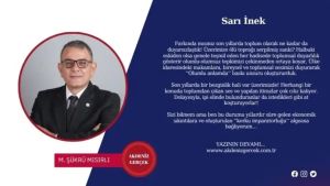 Sarı İnek