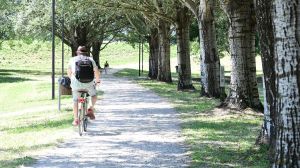 Più alberi, meno cemento. La ricetta della biologa per le città ideali: “Il futuro? È la natura”