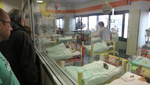 Culle vuote, nidi pieni. Su 176 domande, 118 bimbi in lista d’attesa