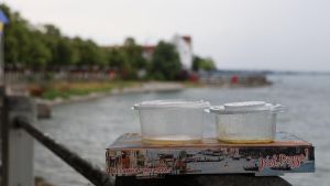 Konstanz setzt auf die Verpackungssteuer – findet Friedrichshafen eine andere Lösung für den Müll?