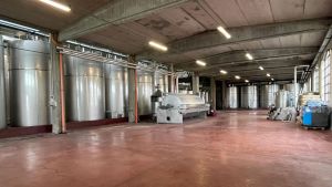 La Fondazione Monte di Lombardia punta sull’Oltrepò: compra e rilancia i vigneti Scagno