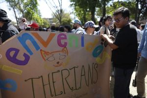 Tussen mens en dier: therians en de echo van oude mythen