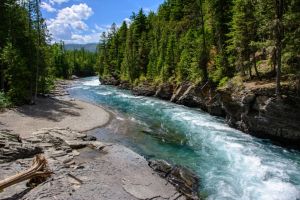 The liberty of clean air & clean water