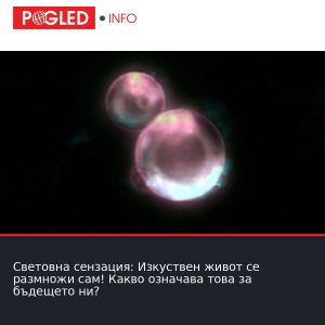 Световна сензация: Изкуствен живот се размножи сам! Какво означава това за бъдещето ни?