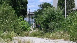 I controlli anti-droga e il disagio diffuso a Udine