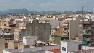 El capazo