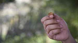 Sobre las dos caras