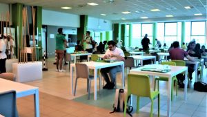 Cibo e impatti climatici, gli studenti sono consapevoli ma anche “conservatori”