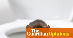 Is there a rat hiding in your toilet? Are you sure? Really sure?