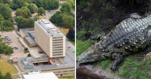 Probe into care of Norfolk man accused of throwing boy, 3, into crocodile pit