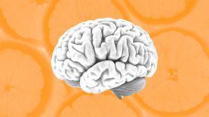 Scientists Identify a Surprising Connection Between This Common Vitamin and Your Long-Term Brain Health