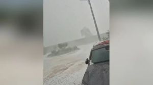 Oderzo e Fontanalle colpite dal maltempo, vento e grandine in pochi minuti: il video