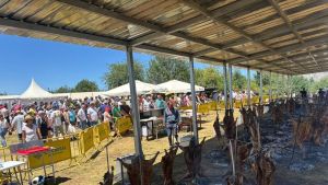 Corderos con paciencia en Llagüezos: cientos de personas degustaron casi una tonelada de carne asada con 