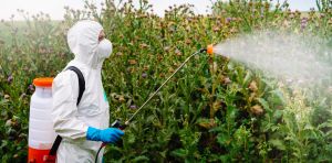 NZ’s approval of Roundup relies on industry‑funded reviews currently under investigation