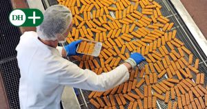 Bundesregie­rung will Fisch­stäb­chen vor EU-Sank­tion­en schützen