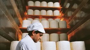 Export agroalimentare Treviso in crescita ma il clima rischia di frenare il settore