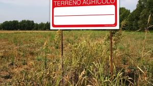 All’asta case e terreni per 2 milioni di euro: ecco la mappa dei beni