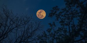 No es la Luna, es el Sol: así influye el calor extremo en los comportamientos delictivos