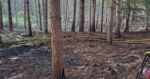 Crews tackle more than 50 wild fires... with even higher temperatures on the way