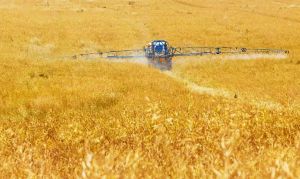El glifosato, Bayer y la desregulación cancerígena