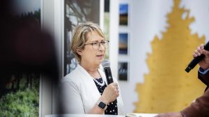 Maatalous | Lukijalta: Porsaille annetaan puudute ja kipulääkitys jo nyt, toisin kuin virheellisesti toistetaan
