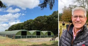 Record demand for turkeys and chickens prompts call for more free-range farms