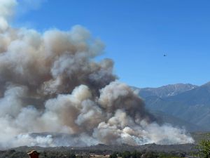 10 000 personnes évacuées dans les Pyrénées-Orientales, feu fixé dans le Gard… Le point sur les multiples incendies qui frappent la France