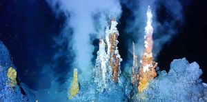 In our deep oceans, evolution is supercharged – this diversity of life could help unlock humanity’s greatest challenges
