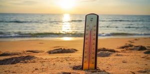 Climate law expert: Europe’s deadly heatwaves belong in court