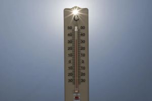 Canicule : 61 départements en vigilance orange dès mardi, des pics à 40°C attendus dans le Sud
