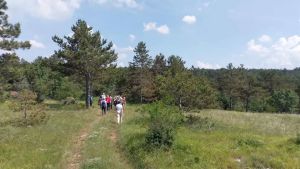 Incendio a Trebiciano, interviene la protezione civile aiutata dalla pioggia