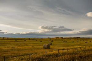 CHARLEBOIS: Farm Credit Canada needs new mission — and more transparency