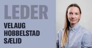 Det store vi