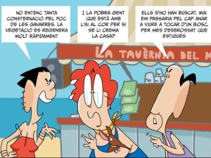 Calor de forn i foc arreu del país
