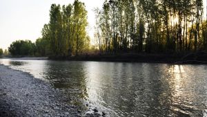 Fiume minacciato, passeggiata per difenderlo