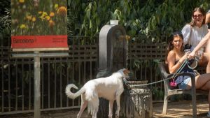 Catalunya activa los primeros avisos rojos por calor extremo ante un martes donde se esperan máximas por encima de los 43 grados