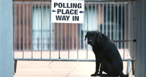Don't want to vote? Sorry, but I think you should be made to