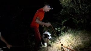 Los drones salvaron a 