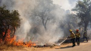 Catalunya mantiene el modelo de prevención de incendios de Les Gavarres: 