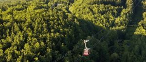Vivere la Doganaccia, meta ideale per chi ama la montagna invita a scoprire la natura a 360 gradi