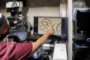 Bioéthique : soumettons la technique controversée du DPI-A aux exigences de la stratégie nationale de lutte contre la désinformation en santé !